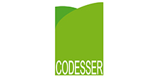 Codesser